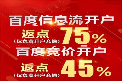 某品牌SEM广告投放的全程记录与效果分析